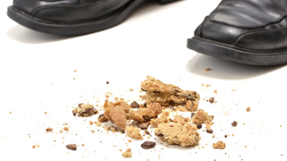 Science says go ahead and eat the food you dropped on the floor, maybe